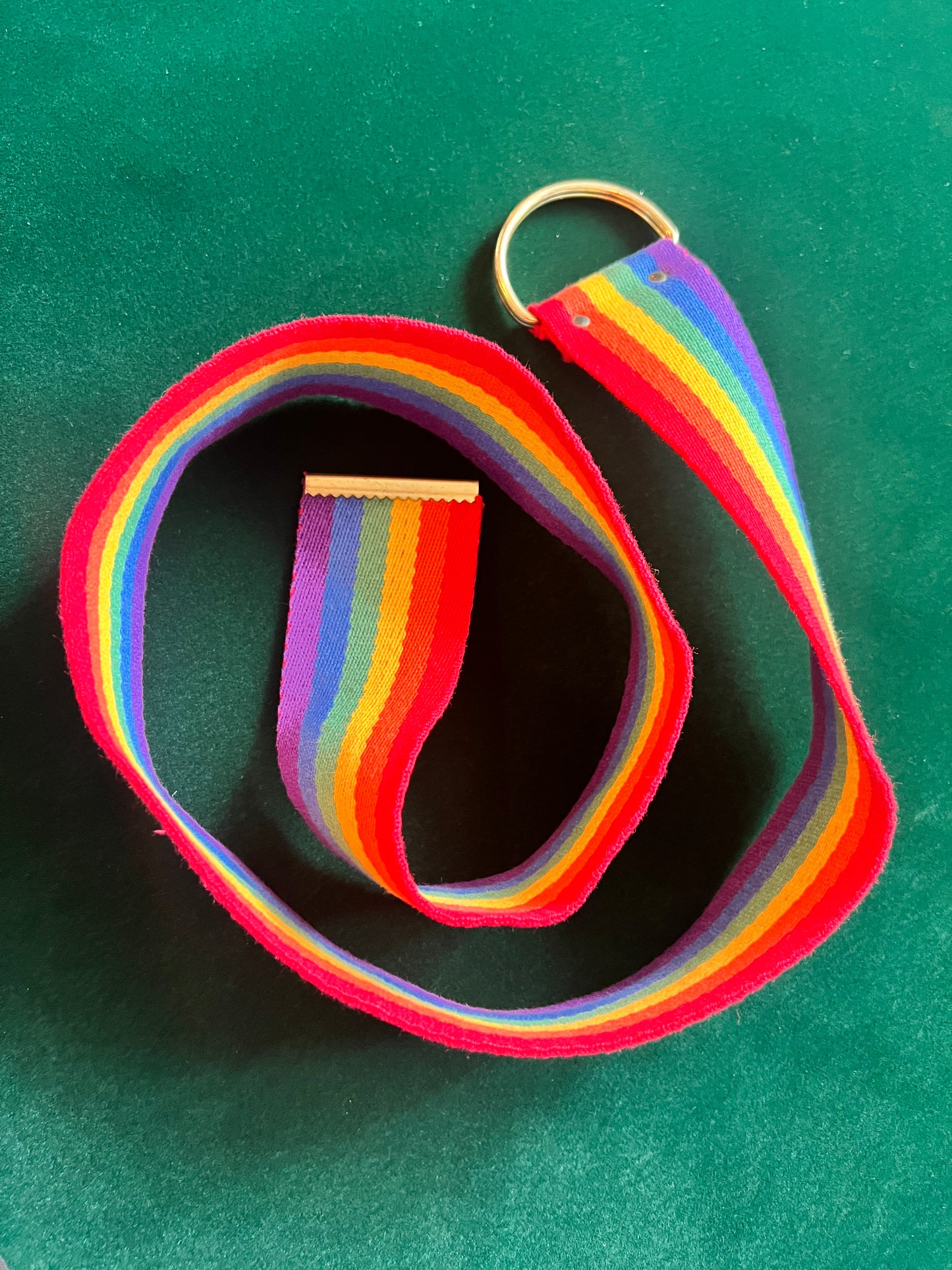 VNTG Rainbow Belt